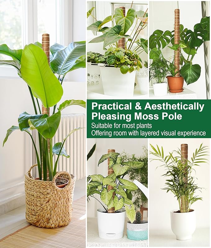 EAONE Moss Pole 168 Inch, 8 Pack 21" Monstera Plant Support for Climbing Potted Live Plants Indoor, Stackable Coco Coir Moss Sticks Monstera Stakes for Pothos Philodendron, with Garden Labels & Ties
