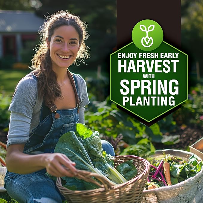 HOME GROWN 6000 Vegetable Seeds for Planting: 12 Spring Varieties of Garden Vegetables in Seed Packets, Garden Seeds for Garden Plants or Hydroponic Seeds - Heirloom Seeds - Non GMO