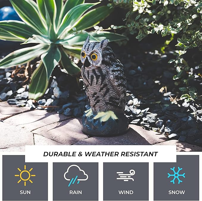 Galashield Owl Decoy | Plastic Owls to Scare Birds Away | Owl Statue for Garden & Outdoors - Pack of 3
