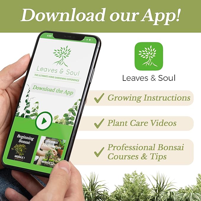 Indoor Plant Soil Premium All Purpose Blend | Large 2.2 Quarts | Ready to Use for Indoor Container and Houseplants | Peat, Coco Coir, Perlite, Dolomite | Made in USA