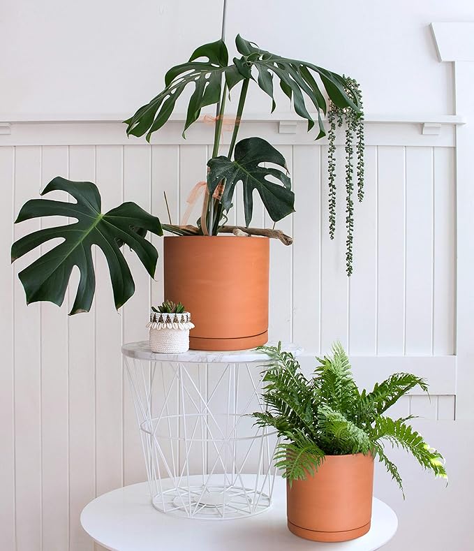 D'vine Dev Large 10 Inch Terracotta Plant Pot with Drainage Hole and Saucer, Round Cylinder Planter Pot for Indoor Plants, Set of 2, 40-X-B-5