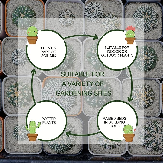 40QT Horticultural Perlite Bulk, Organic Perlite for Plants, Course Perlite for Gardening, for Plants Indoor, for Houseplants, to Promotes Soil Root Growth, and Water Drainage and Plant Growth(3-6mm)