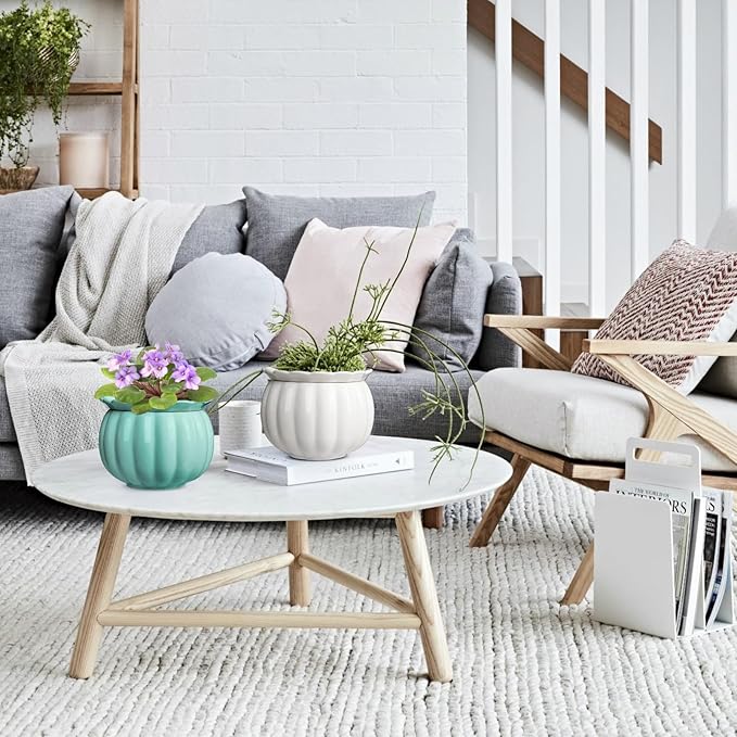 African Violet Pots, 6 inch Pumpkin-Style Ceramic Easy Self Watering Plant Pot for Busy Plant Lovers, Automatically Absorb Appropriate Amount of Water, Flower Pot Indoor-Plants Not Included