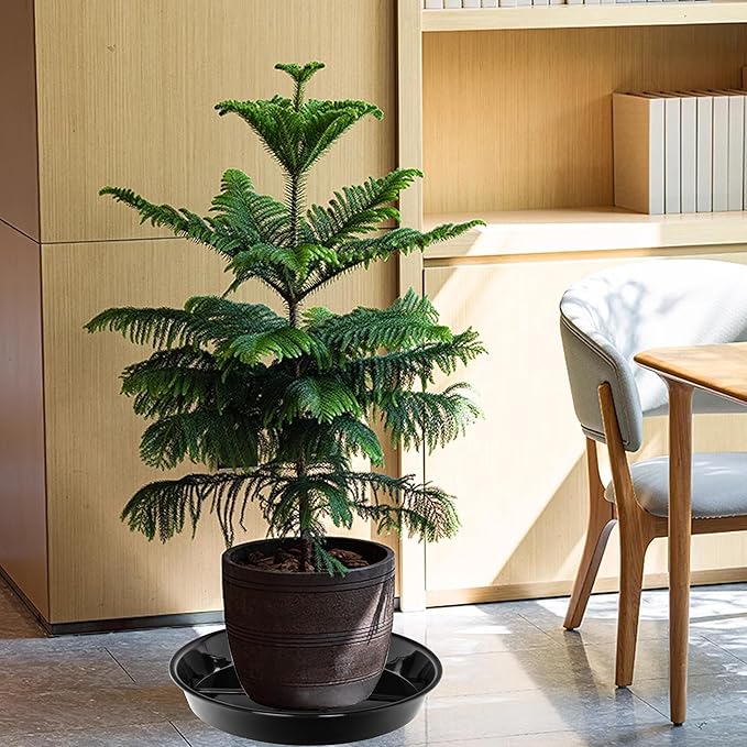 6 Pack Plant Saucer Drip Tray 14 inch, Large Plastic Plant Trays, Heavy Sturdy Plastic Planter Flower Pot Saucers for Indoor Outdoor Garden, Plant Water Drip Trays for pots (14", Black)