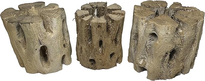 3 Natural Cholla Wood Air Plant Display Holders 2 inch Individually Unique Round Decorative Stands