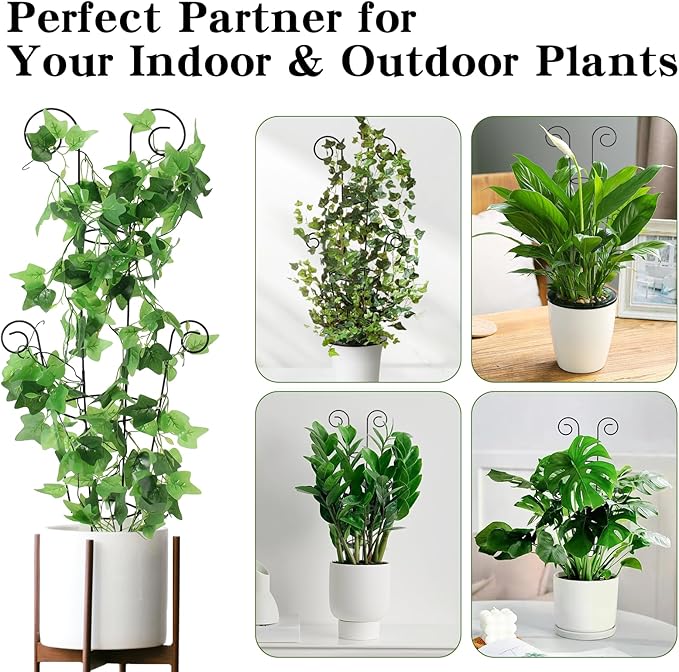 ZOUTOG Trellis for Climbing Plants Indoor 30 Inch, Houseplant Trellis for Potted Plants Metal 4Pcs for Vine Ivy Flower Support,Round Shape,Black