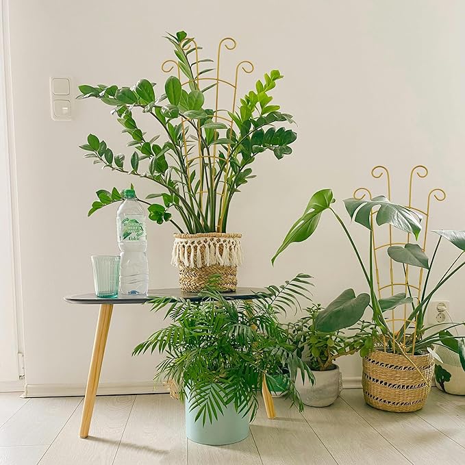 30 Inch Plant Trellis Indoor for Potted Plants 3 Pack Indoor Plant Trellis for Climbing Plants Stackable Houseplant Trellis Metal Garden Pot Trellis for Vine Ivy Support(30inch Gold)