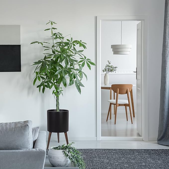 D'vine Dev 12 Inch Planter Pot with Stand, Mid-Century Tall Plant Pot with Legs for Indoor Plants, Large, Black, 88-O-C-2