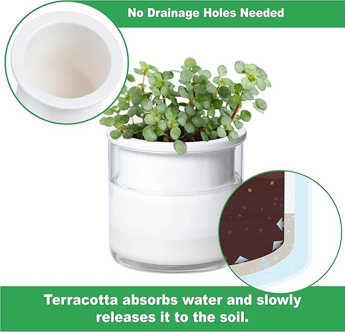 Phoenix Vine 4 Inch Self Watering Planter Pot, Design White Terracotta Pots for Plants, Indoor Cylinder Terra Cotta Pots with Glass Vase, Set of 2, 51-B-E-2