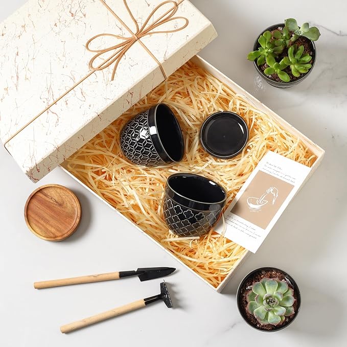 Sureasy Succulent Pots, 3.5 Inch Flower Pots for Indoor Plants, Small Plant Pots with Saucer & Drainage, Decorative Ceramic Planters for Succulent, Cactus, Set of 4, Black