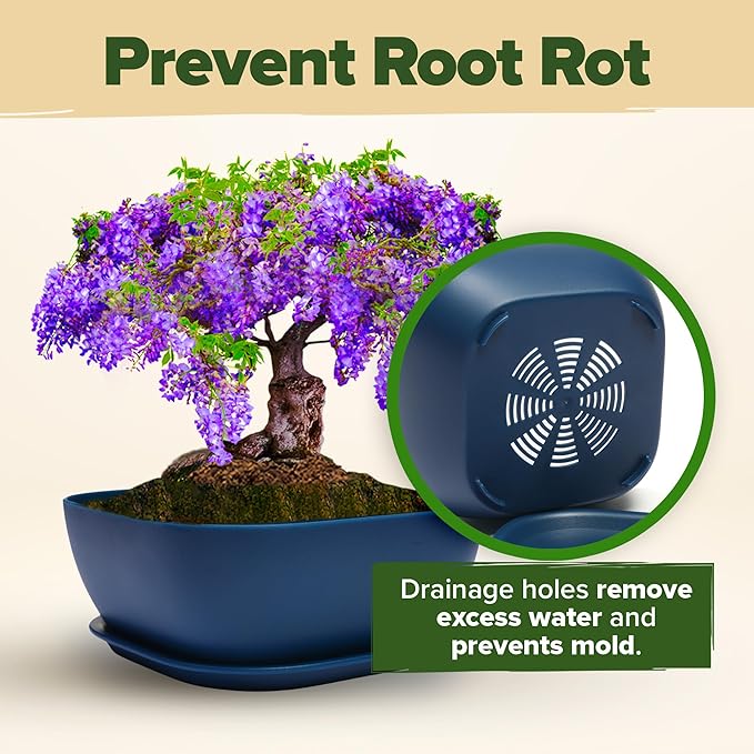 HOME GROWN Bonsai Tree Kit: Unique Christmas Gift for Men - Bonsai Starter Kit w/ 6 Seed Varieties - Unique Designed Pots - All-in-One Craft Kit for Adults for Gardeners & Plant Lovers