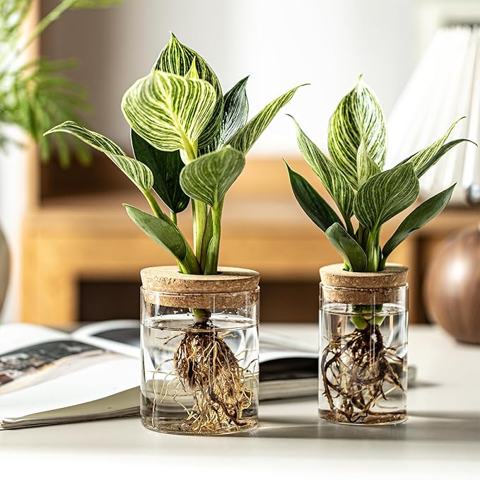 Glass Plant Propagation Stations for Plants – Set of 4(4 Large & 4 Small) Hydroponic Vases for Plant Cuttings,Flower Arrangements, Home & Office Decor–Desktop Vases for Living Room, Bedroom (8)