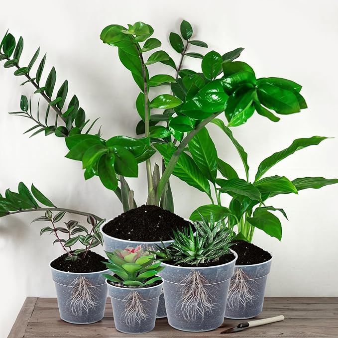 Vesici Large Size Clear Nursery Pots Variety Pack Plant Pots with Drainage Holes Planters for Indoor Plants Flexible Transparent Plastic Plant Bottle Succulents(24 Pcs,3/4/5/6/7/8/9/10 Inch)