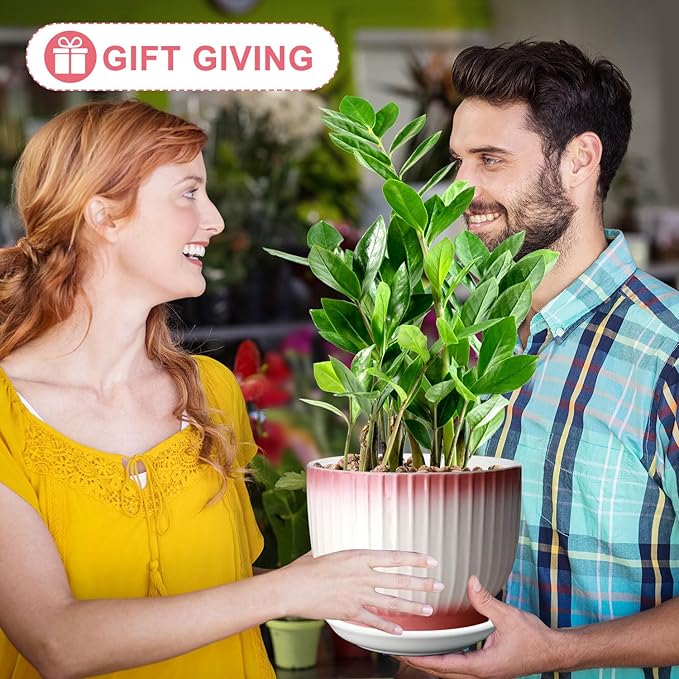 8 Inch Plant Pot, Ceramic Planter with Drainage and Saucer, Ceramic Pots for Plants, Indoor Plant pots,Flower pots(Pink + White, Plants NOT Included)