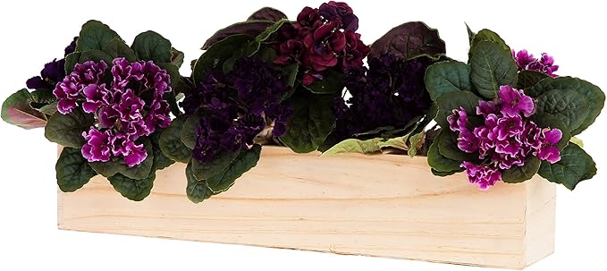 20" Rectangular Rustic Wood Planter with Plastic Liner l Rose Wood l Country Style, Home and Wedding Decorations, Garden Ornaments (20x4 Set of 2, Rose Wood)