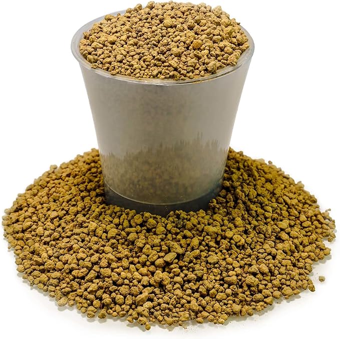 Japanese Hyuga Pumice - 10 Quart - Premium Additive for Orchid & Bonsai Tree Soil |Professional Imported Sifted and Ready to Use (2 Bags of 5 Quart)