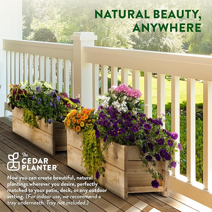 Greenes Fence Cedar Wood Planter Box with Rail Mount Brackets, 32" x 11" x 7" - Made in USA with North American Cedar