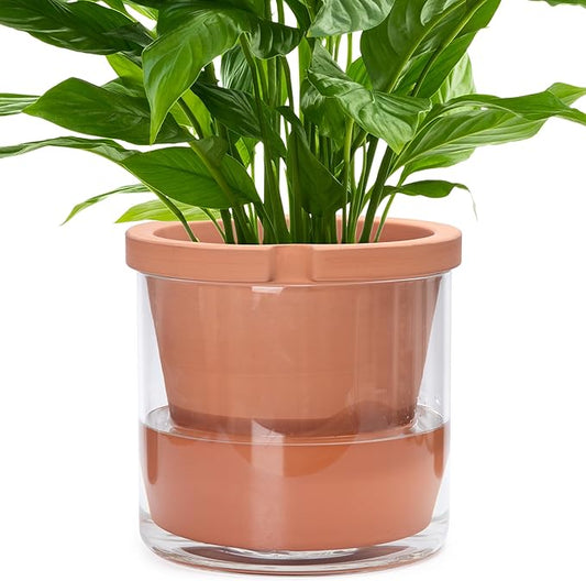D'vine Dev 10 Inch Design Self Watering Pot for Indoor Plants, Terracotta Planter with Cylinder Glass Cup, Set of 1, 37-X-D-1