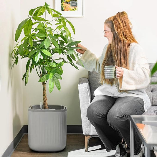 Vego garden Self Watering Pots Home Planters with Water Gauge for Effortless Indoor Plants Fog Gray