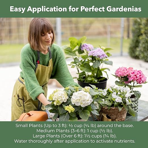 Slow Release Hydrangea Fertilizer with Iron & Sulfur – Indoor & Outdoor Soil Acidifier for Miracle Growth (5 qt)