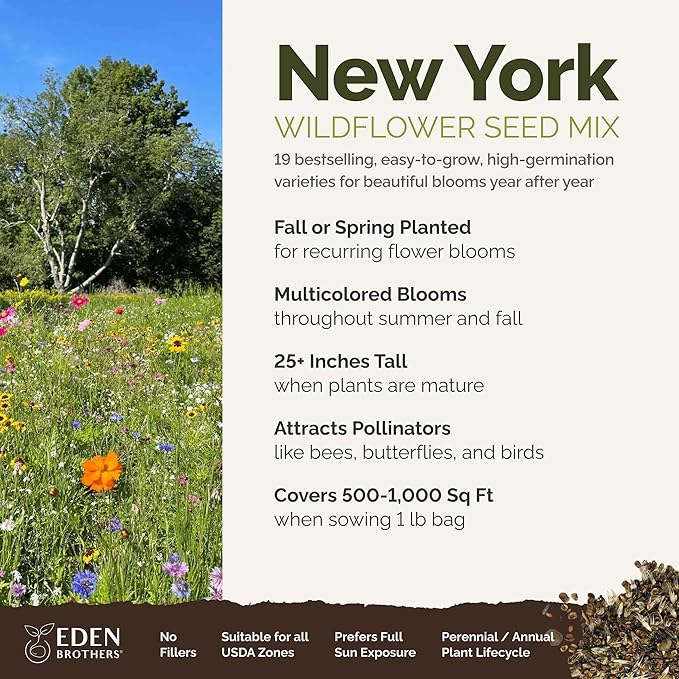 Eden Brothers New York Wildflower Mixed Seeds for Planting, 1 lb, 480,000+ Seeds with Coneflower, Cosmos | Attracts Pollinators, Plant in Spring or Fall, Zones