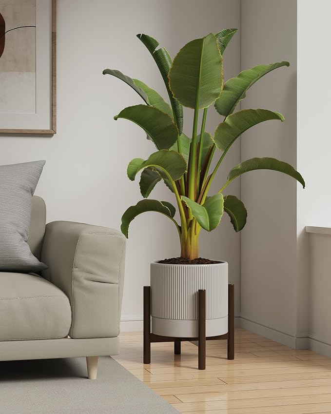 Ceramic Planter Pots Indoor with Drainage Hole & Saucer,Including Stand,7.3 Inch Mid-Century Modern Cylinder Plant Pot for Snake Flower Leaf