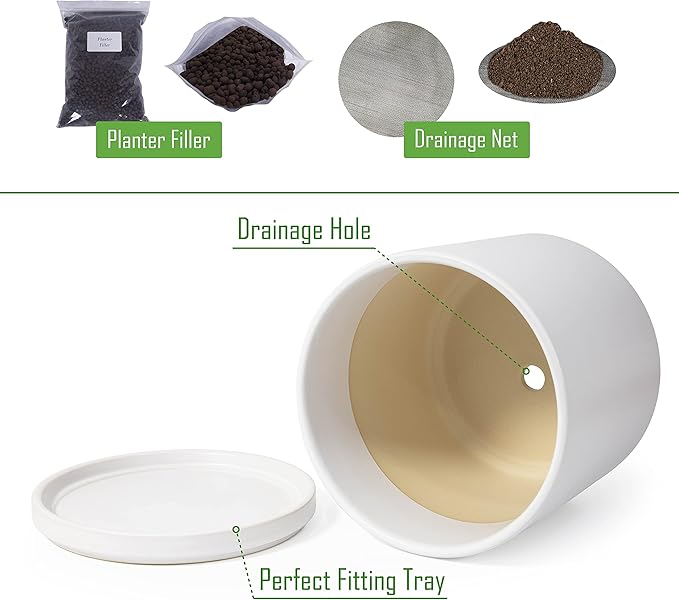 D'vine Dev 10 Inch Ceramic Planter Pot with Drainage Hole and Saucer, Indoor Cylinder Round Planter Pot, White, 94-O-E-1