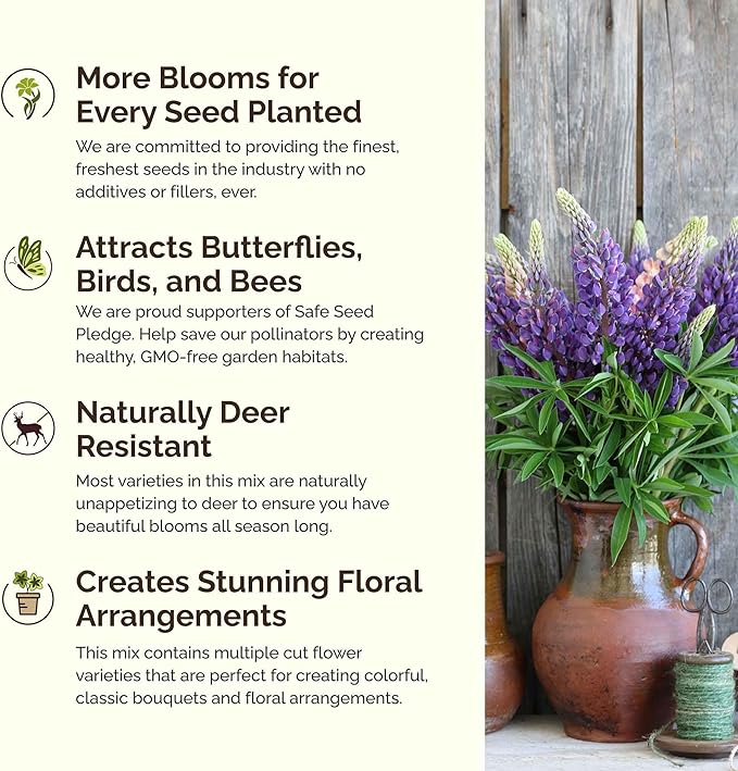 Eden Brothers Midwest All Perennial Wildflower Mixed Seeds for Planting, 1/4 lb, 120,000+ Seeds with Hyssop, Shasta Daisy | Attracts Pollinators, Plant in Spring or Fall, Zones 3, 4, 5, 6, 7, 8, 9, 10