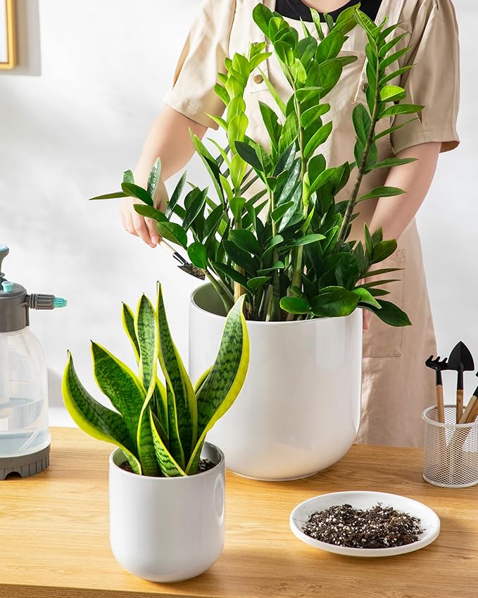 vancasso 6+8+10 inches Ceramic Plant Pots, Set of 3, Planters with Drainage Hole, Flower Pots Planters Pots for Indoor Plants, Modern Indoor Decorative Garden Pot, Home Decor, White