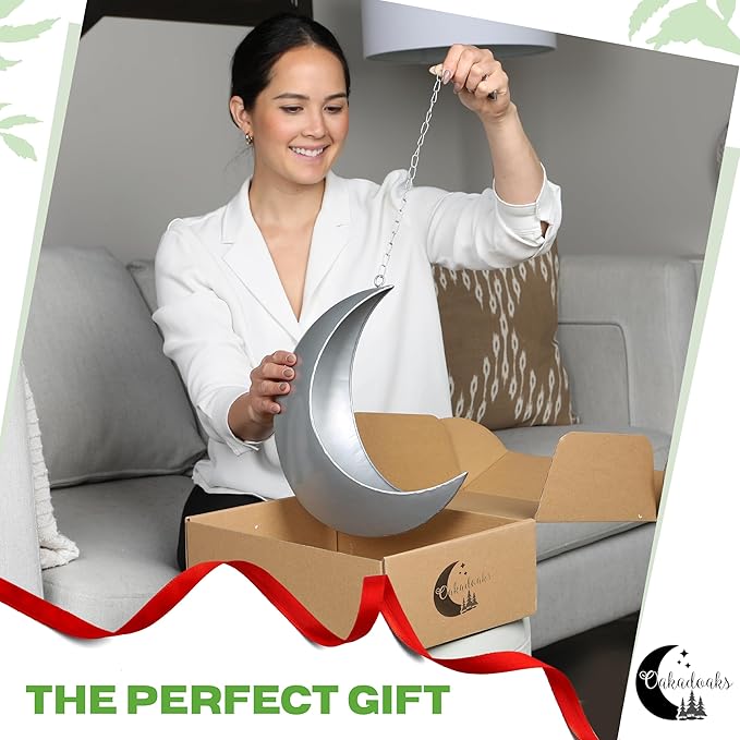 Hanging Moon Planter for Moon Room Decor - Great for Succulents, Air Plant, Mini Cactus, Faux, Artificial Plants-Boho Hanging Planters for Indoor Plants, Witchy Gifts for Women, Birthdays,Plant Lovers