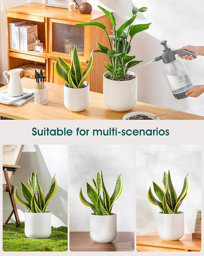 vancasso 6 Inch Ceramic Plant Pots, Planters with Drainage Hole, Flower Pots Planters Pots for Indoor Plants, Modern Indoor Decorative Garden Pot, Home Decor, White