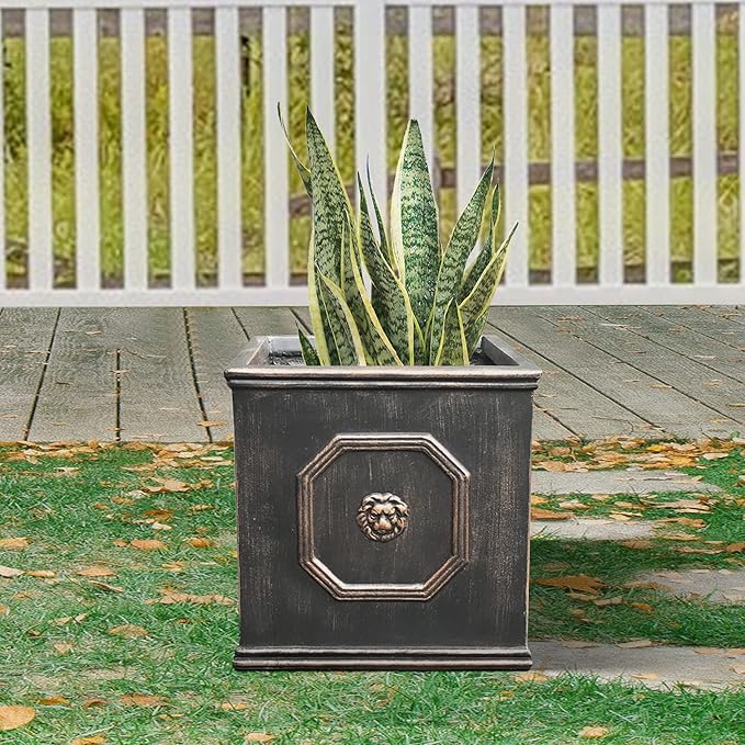 Kante Square Lion Head Concrete Planter, Classic English Style Plant Pot with Drainage Hole and Rubber Plug for Indoor Outdoor Garden Patio Home, 12.6"x12.6"x12.6" Oil Rubbed Bronze