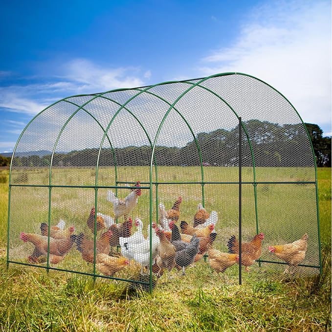 Large Garden Support Arch Frame for Climbing Plants, 9.85 x 7.05 x 7.22 ft Heavy Duty Plant Climbing Arbor Arch, Multi-Purpose Support Frame for Vines, Weddings & Backyard Decoration