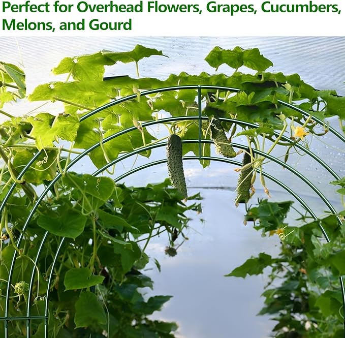 Large Garden Support Arch Frame for Climbing Plants, 9.85 x 7.05 x 7.22 ft Heavy Duty Plant Climbing Arbor Arch, Multi-Purpose Support Frame for Vines, Weddings & Backyard Decoration