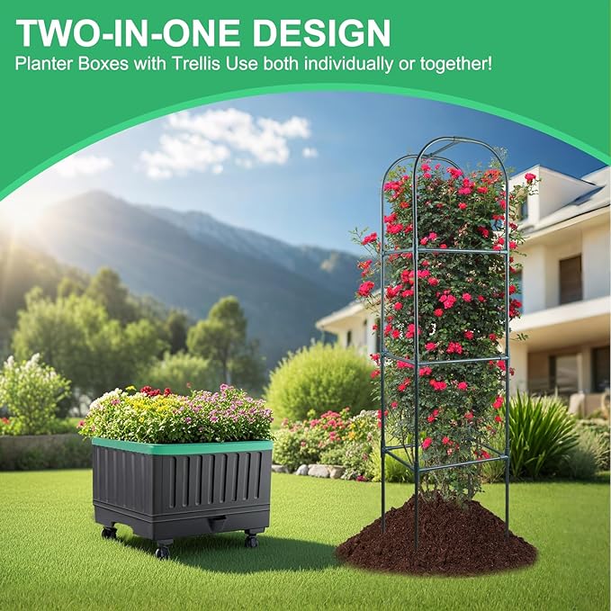 Raised Garden Bed with Self Watering Garden Pots, Planter Box with Trellis for Climbing Plants Vegetable Vine Flowers, Tomato Cage Planter for Indoor Outdoor Yard Greenhouse Use