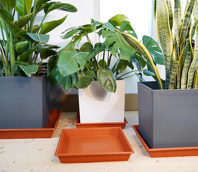 Square Plant Saucer 16 Inch 2 Pack, Plant Stand Plant Trays for Pots Heavy Duty Plastic Plant Saucers for Indoors Outdoors, Flower Pot No Holes Terracotta Plant Lover Gardening Gifts