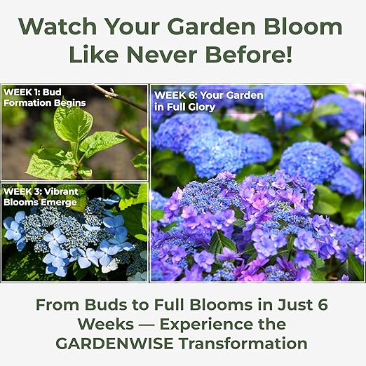 Slow Release Hydrangea Fertilizer with Iron & Sulfur – Indoor & Outdoor Soil Acidifier for Miracle Growth (1 qt)