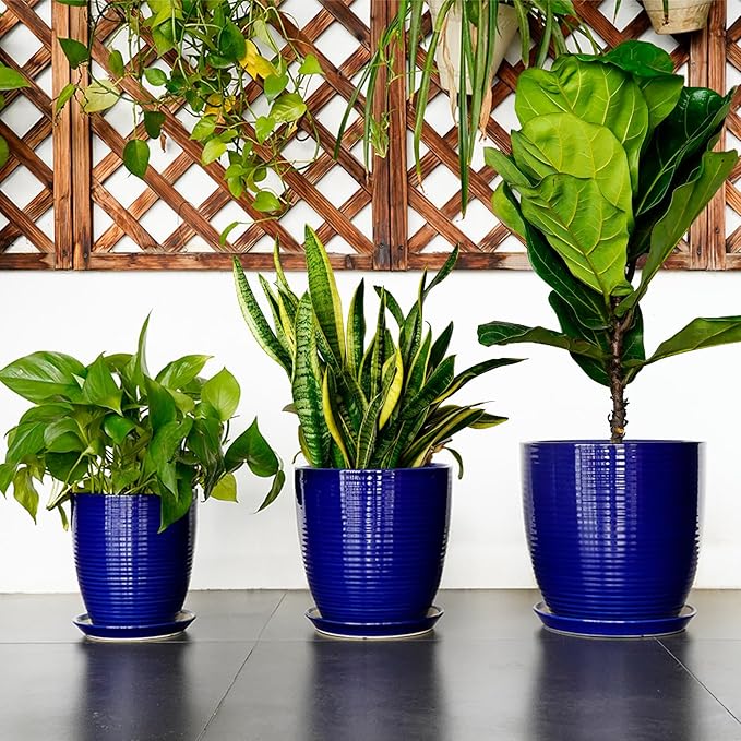 Ceramic Planter Pot - 8 Inch Plant Pot with Drainage Hole and Tray Round Planter Modern Flower Pot for Indoor Outdoor Plants Decorative Garden Pot Blue