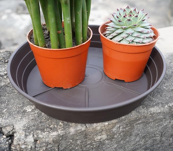 Plant Saucer 14 Inch 2 Pack 6 8 10 12 14 16 18 20 25, Plastic Plant Trays for Pots，Extra-Deep Plant Water Dray Tray, Bird Bath Bowl, Heavy Flower Plant Saucers Indoors and Outdoor No Holes