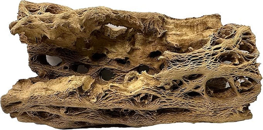 Natural Cholla Wood Chunk Large Air Plant Display Holders Individually Unique Decorative Stands or Holder (Cholla Chunk Large)