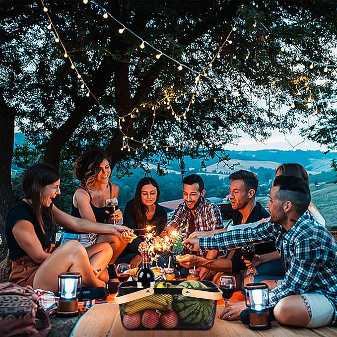 Wire Mesh Storage Organizer Basket Portable Garden Harvest Basket Fruit Basket Bin with Wood Handle Ideal for Kitchen Picnic Pantry Cabinets Storage Home Decor (Cold Gray)