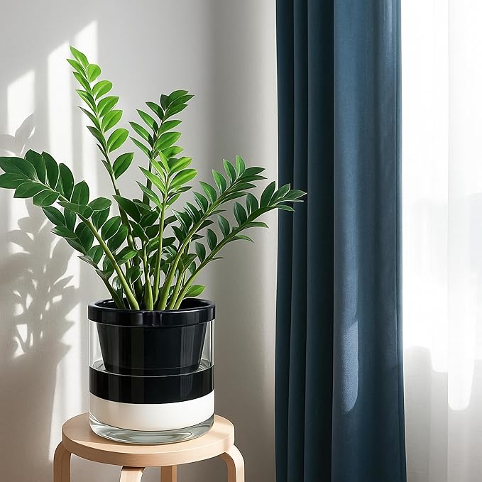 D'vine Dev 10 Inch Design Self Watering Planter for Indoor Plants, Black Terracotta Pot with Cylinder Glass Cup, 37-X-D-3