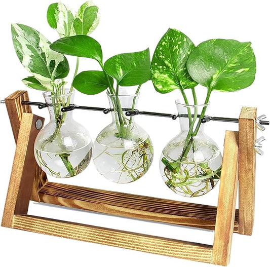 Ivolador Propagation Station, Bulb Plant Terrarium,Planter and Holder Plant Lover Gifts for Women ，Gifts for mom，Plants Home Garden Wedding Decor (3 Bulb-C Type)