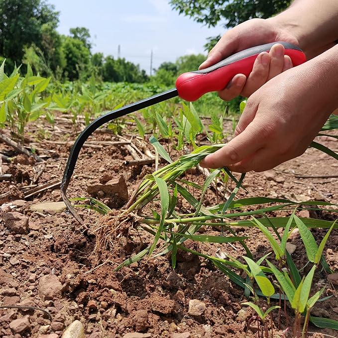 Garden Hook Weed Puller Tool Gardening Hand Cultivator Hand Tiller with Ergonomic Handle, Stainless Steel Weed Tool for Yard, Lawn & Garden