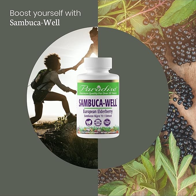 Paradise Herbs Sambuca-Well, Sambucas Nigra, European 50:1 Extract, 60 Vegetarian