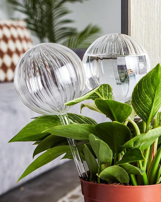 DN DECONATION 4 Pcs Plant Watering Globes, Clear Glass Watering Bulb, Watering Bulbs for Indoor Plants & Outdoor Plants, Automatic Plant Watering System to Support Plant Health, Striped Water Globes