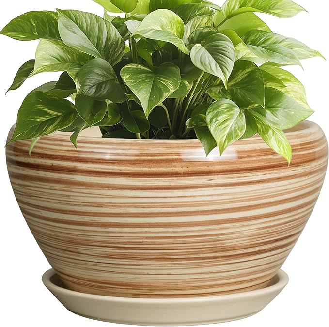 Indoor Planter 9 Inch - Ceramic Pots for Plants Plant Pot Indoor with Drainage Hole and Saucer Round Large Planter Modern Outdoor Flower Pot for House Patio Yellow