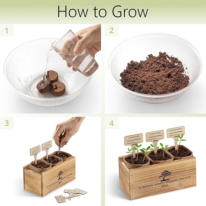 Bonsai Tree Kit – 3X Unique Japanese Bonzai Trees | Complete Indoor Starter Kit for Growing Bonsai Plants with Tools & Planters – Gardening Gifts for Women & Men