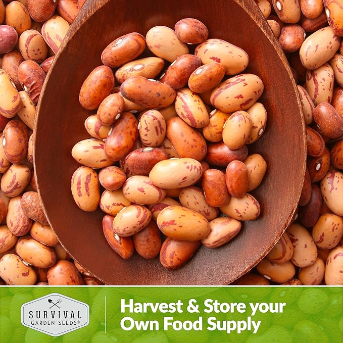 1 Pack Pinto Bean Seeds for Planting with Instructions for Growing Mottled/Peruano Beans in The Home Vegetable Garden - Non-GMO Open-Pollinated Heirloom & Untreated Seed - Survival Garden Seeds