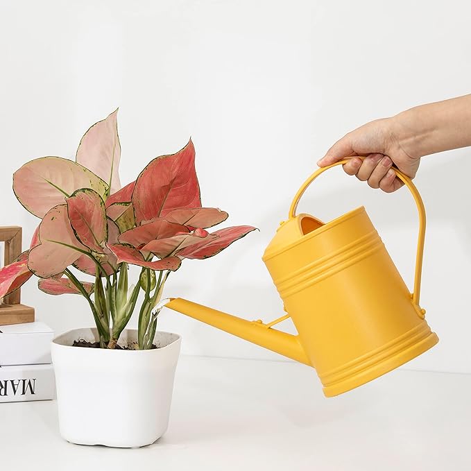 Watering Can for Indoor Plants, Plastic Flower Watering Can with Detachable Sprinkler Head, Indoor Watering Can for House Plants, Flowers 68oz 1/2 Gallon